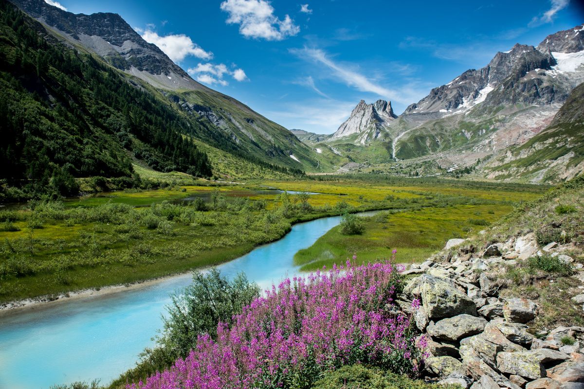 Paysage alpin verdoyant avec montagnes et rivières